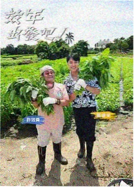 绝命毒师 视频一区在线观看